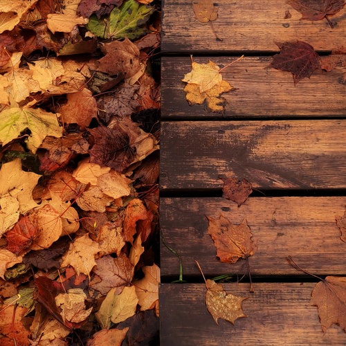 Photo #14097716