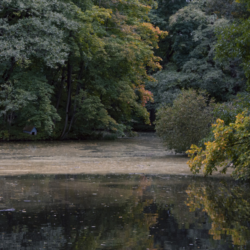 Photo #14097723