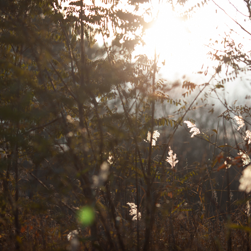 Photo #14097759