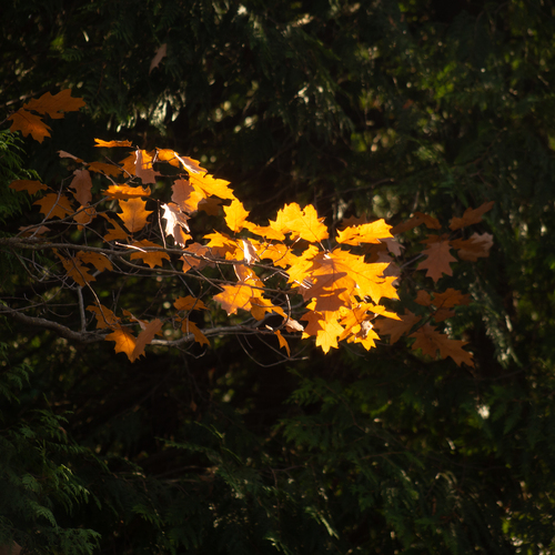 Photo #14097762