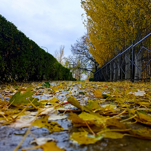 Photo #14097778