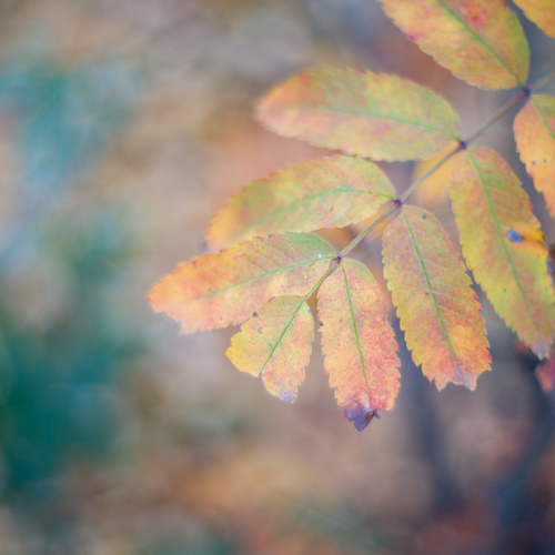 Photo #14097816