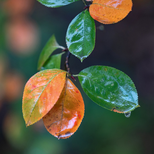 Photo #14097819
