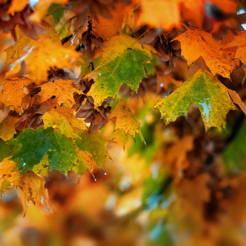 Photo #14097859