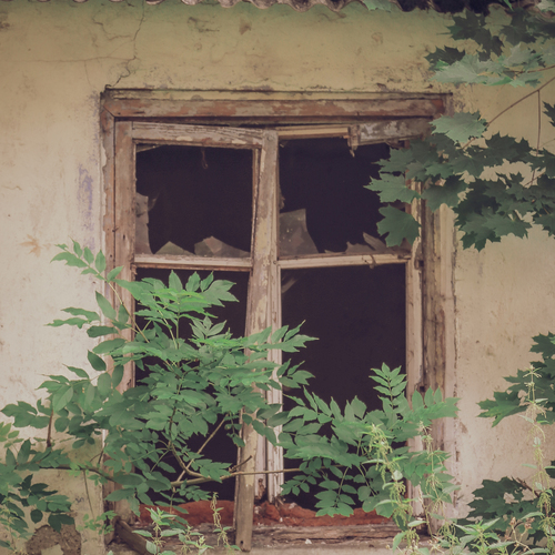 Photo #14097881