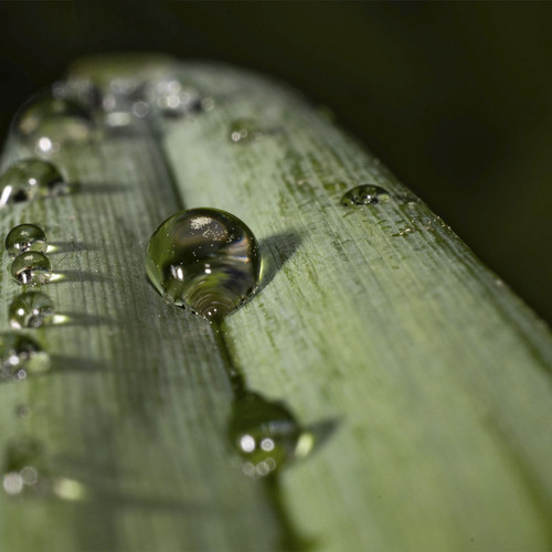 Photo #14097887