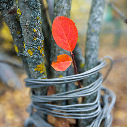 Photo #14097932