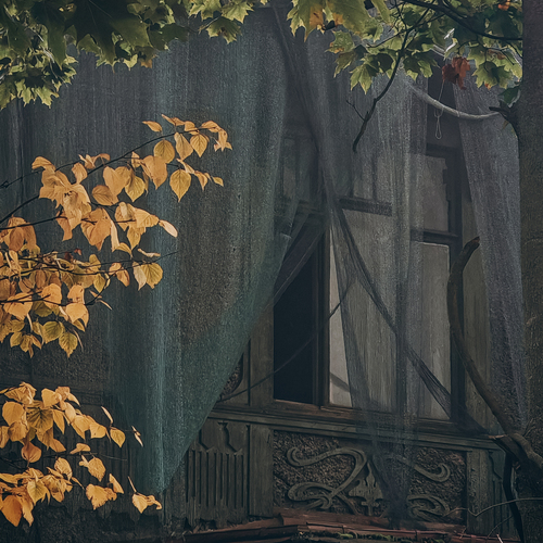 Photo #14097955