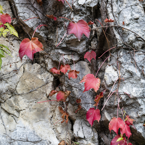 Photo #14097969