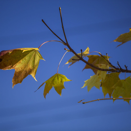 Photo #14097988