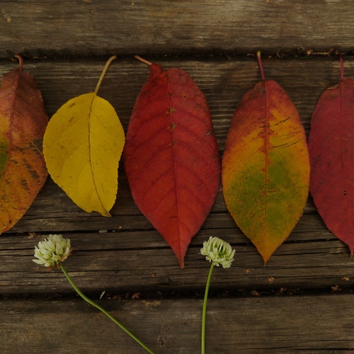 Photo #14097996
