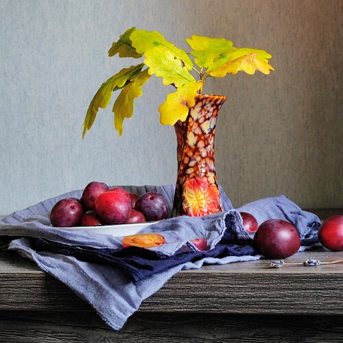 Photo #14097997