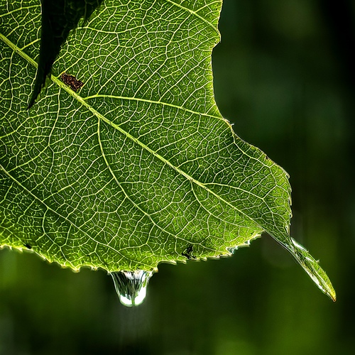 Photo #14098065