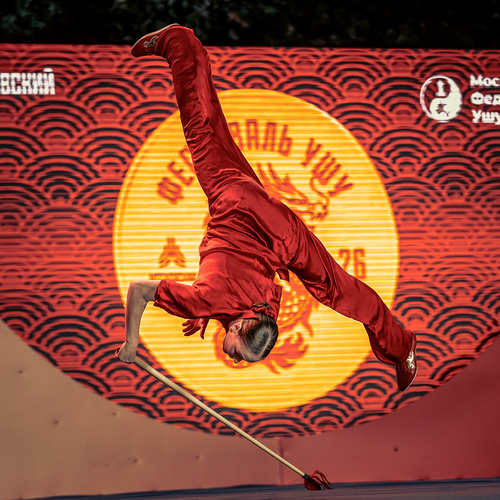 Wushu