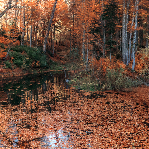 Photo #14098124