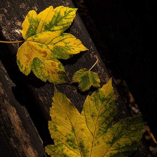 Photo #14098135
