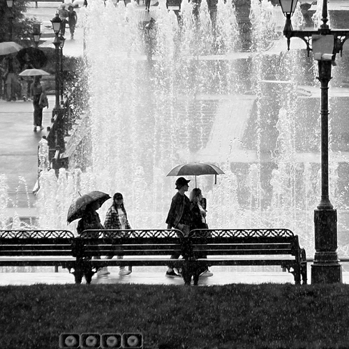 Photo #14098140