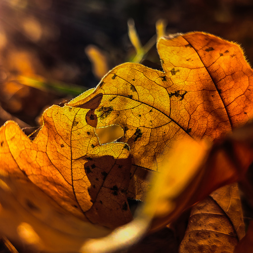 Photo #14098147