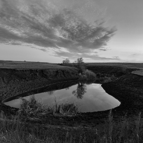 Photo #14098197