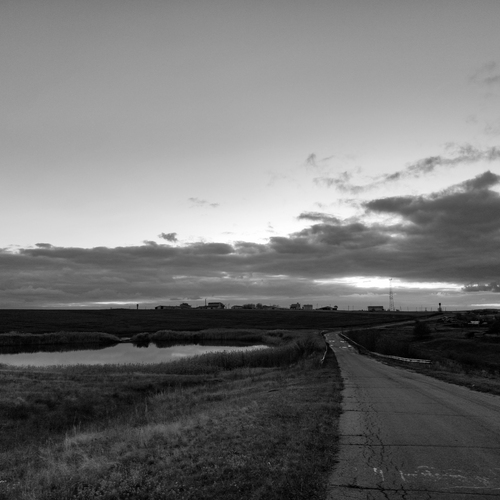 Photo #14098199