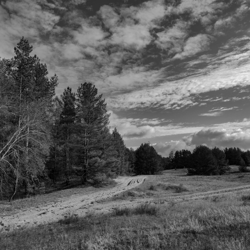Photo #14098205