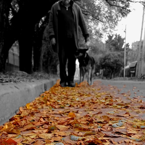 Photo #14098210
