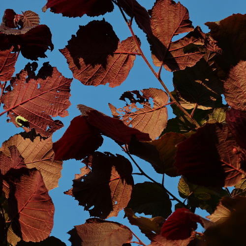 Photo #14098214