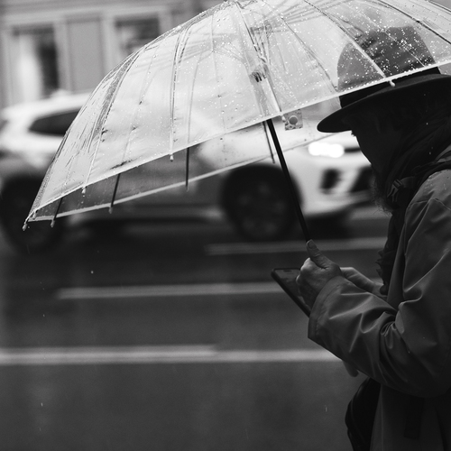 Photo #14098318