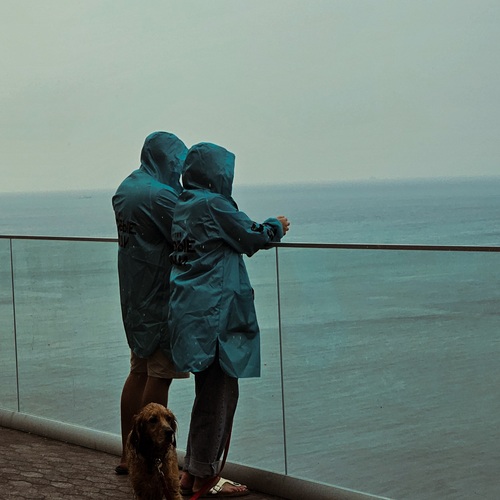 Photo #14098331