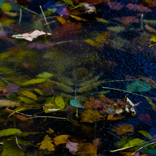 Photo #14098343