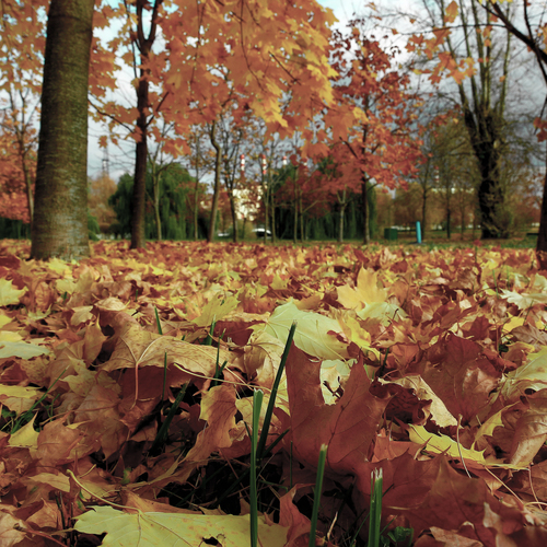 Photo #14098374