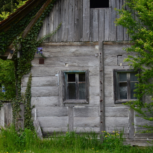 Photo #14098402