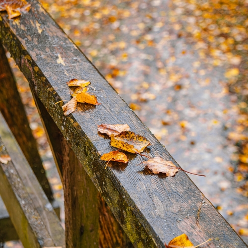 Photo #14098408