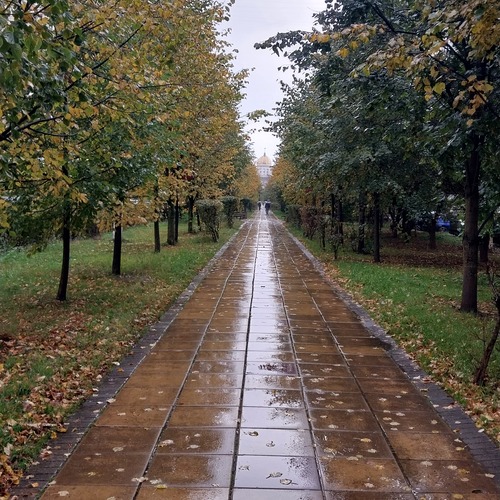 Photo #14098434