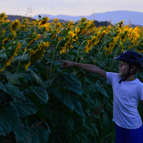 Photo #14098438