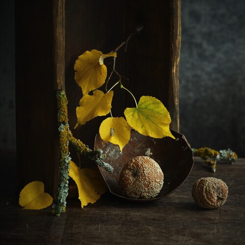 Photo #14098451