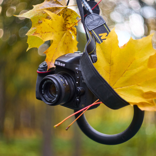 Photo #14098494
