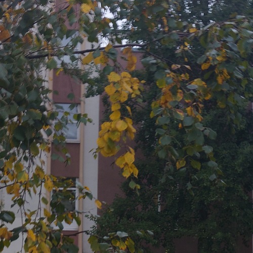 Photo #14098497
