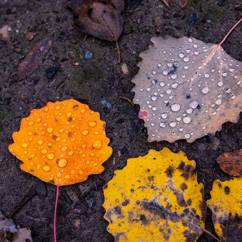 Photo #14098517