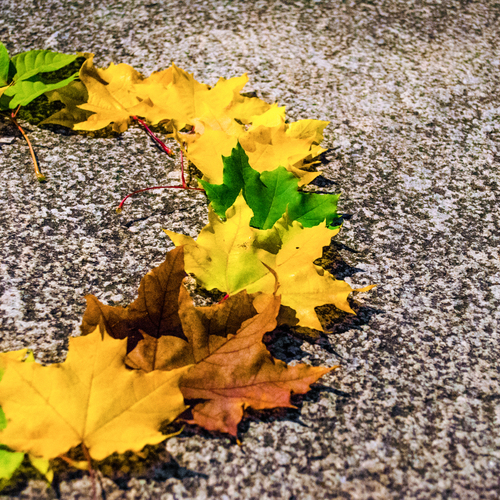 Photo #14098524
