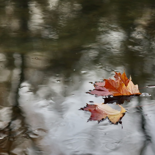 Photo #14098545