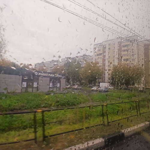 Photo #14098546