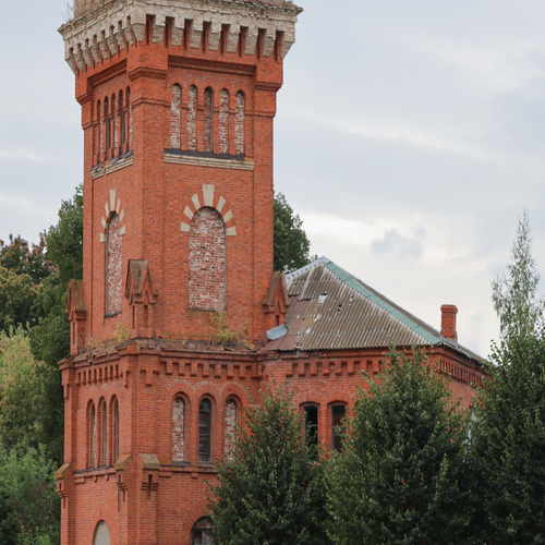 Photo #14098547