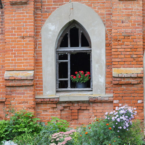 Photo #14098548