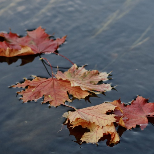 Photo #14098554