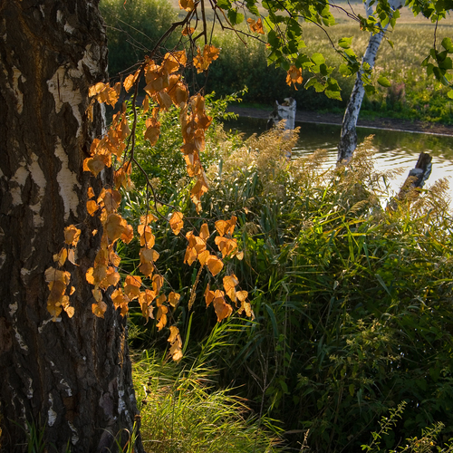 Photo #14098560