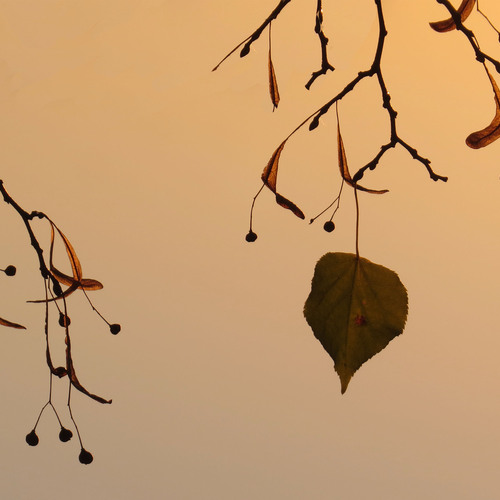 Photo #14098562