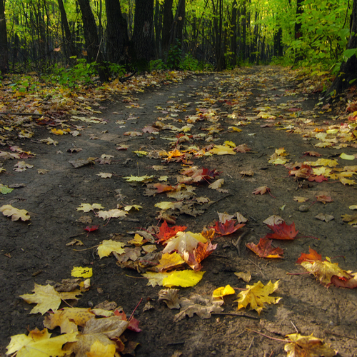 Photo #14098563