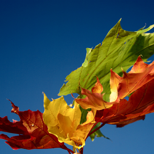 Photo #14098565