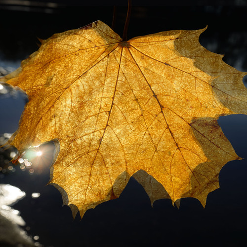 Photo #14098571